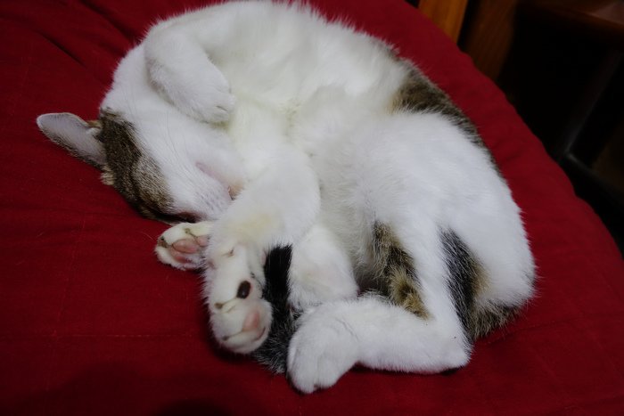 DSC00073.jpg