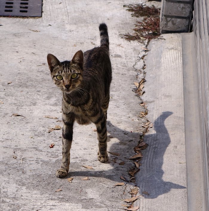 DSC00402.jpg