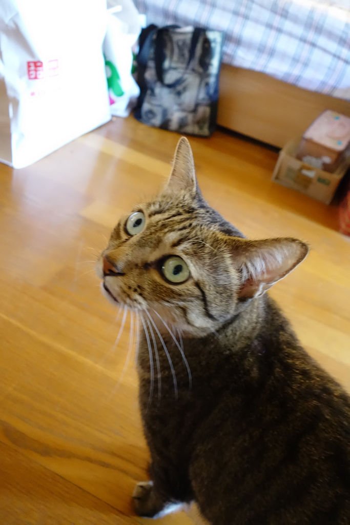 DSC00638.jpg