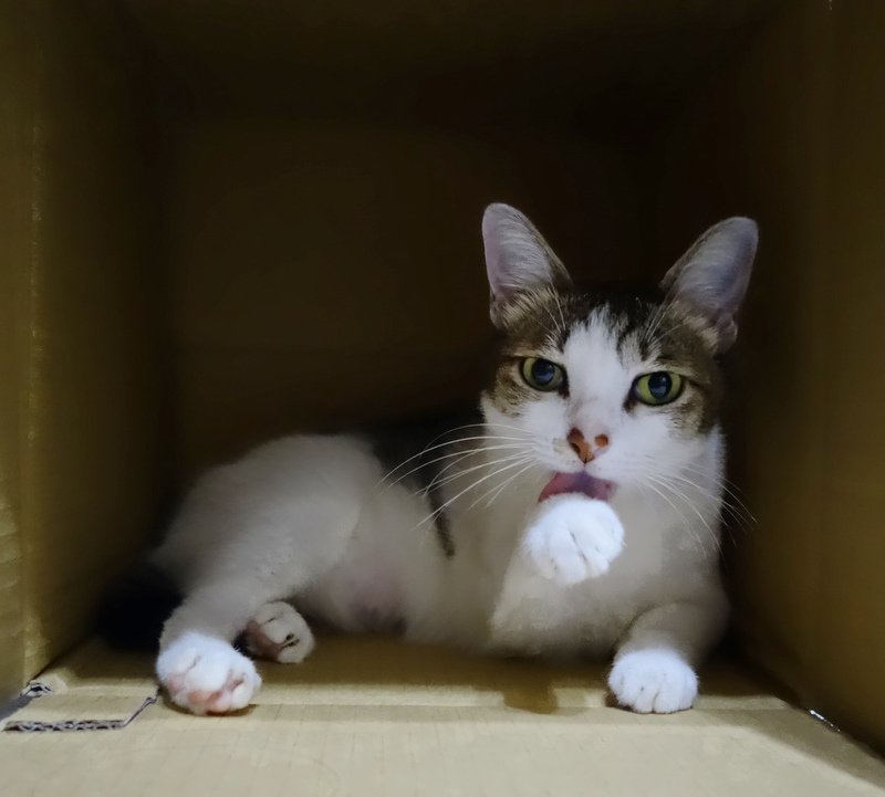 DSC02091.jpg