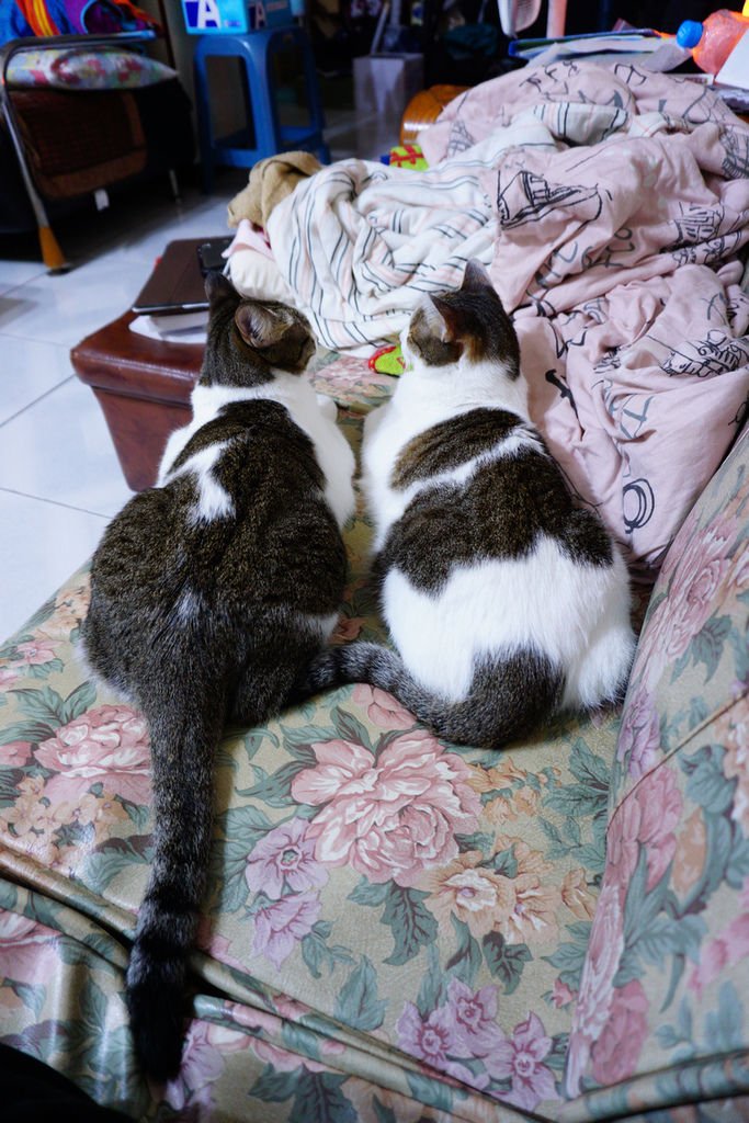 DSC05043.jpg