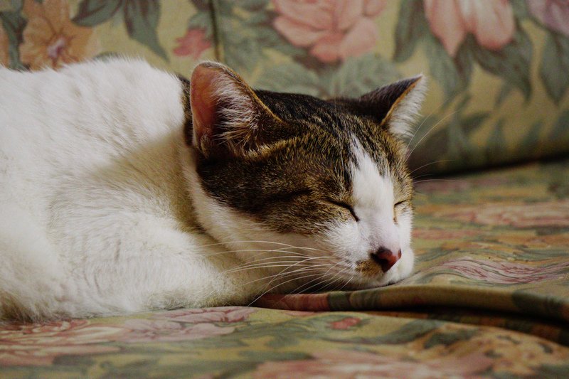DSC05423.jpg
