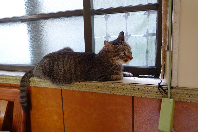 DSC02883.jpg