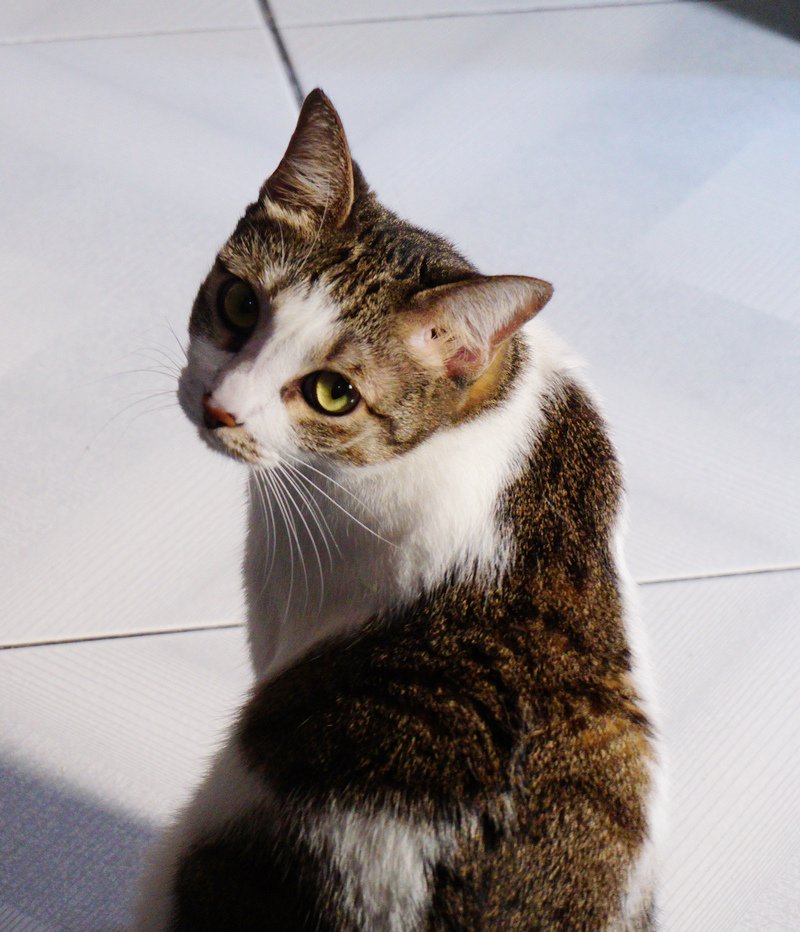 DSC05611.jpg