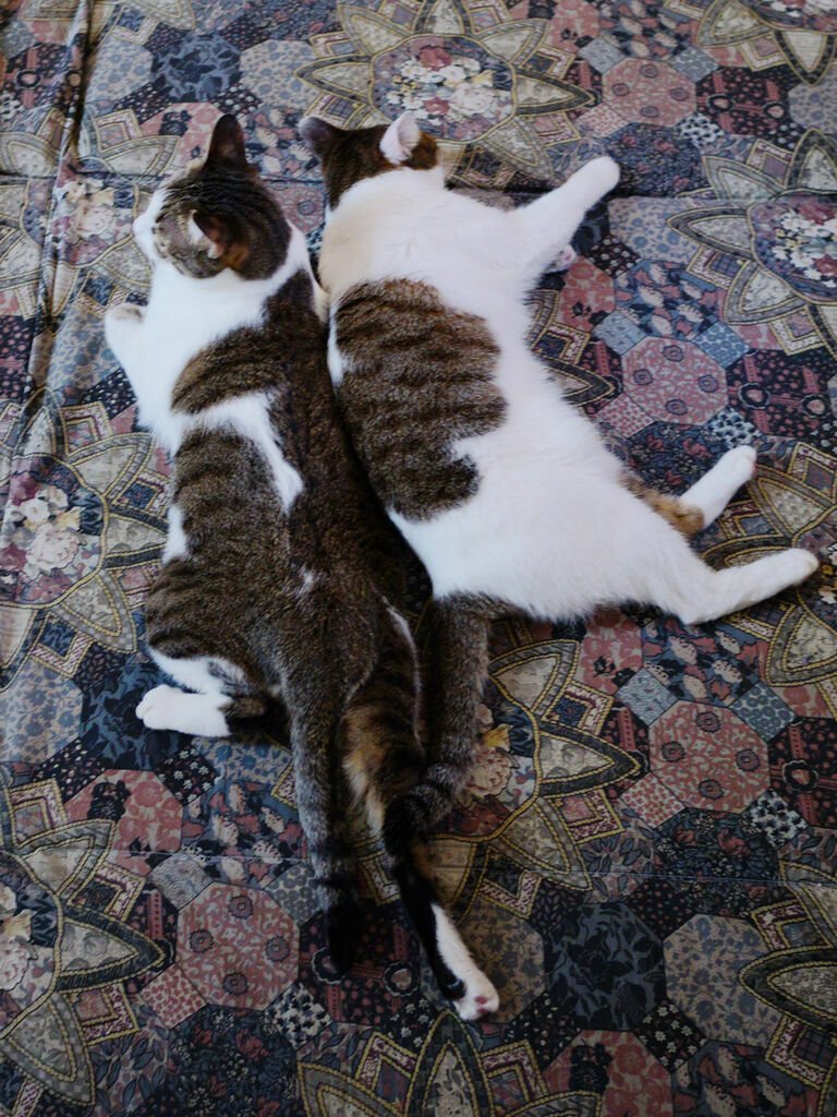 DSC05644.jpg