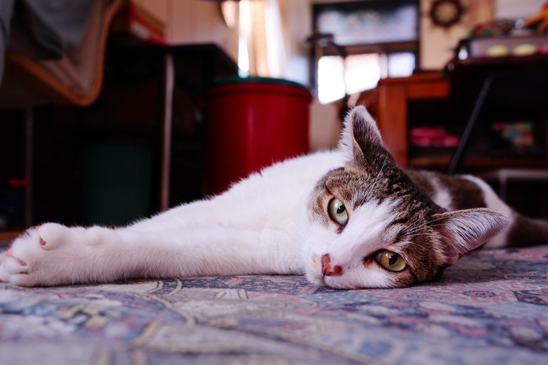 DSC05700.jpg