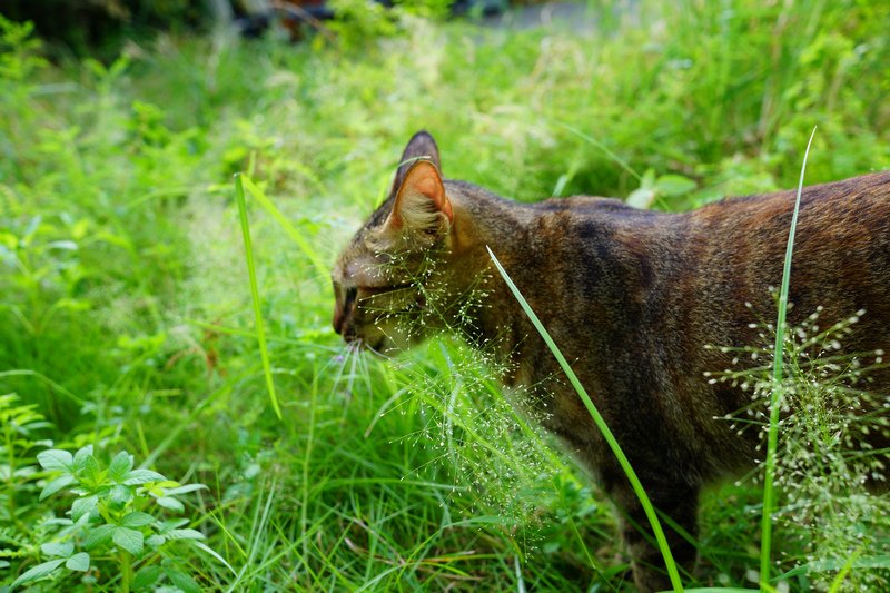 DSC05723.jpg