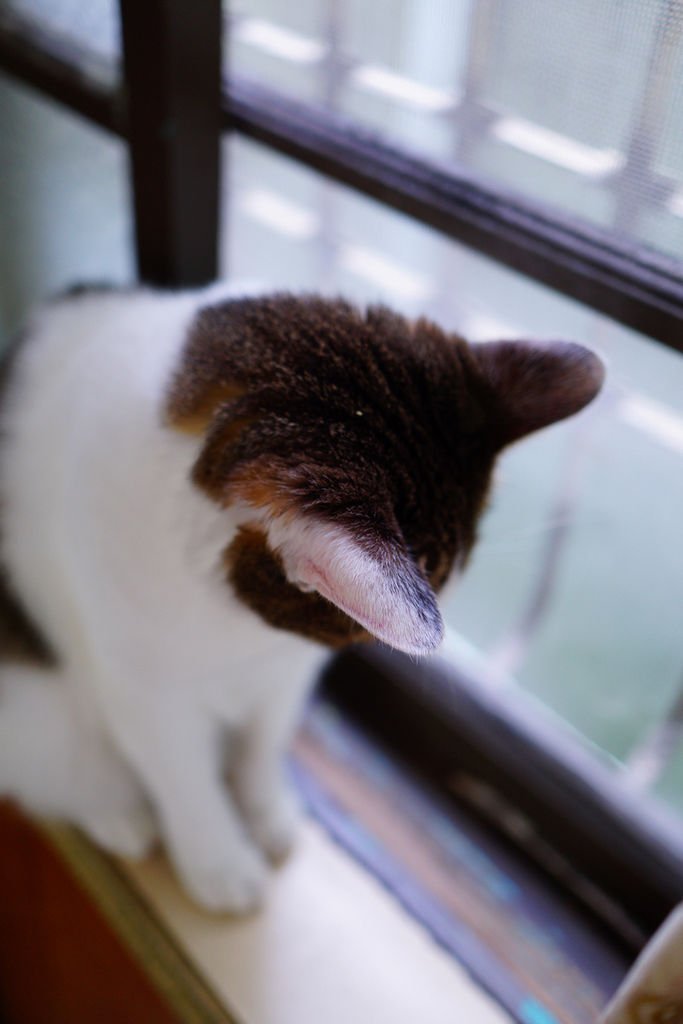 DSC05769.jpg