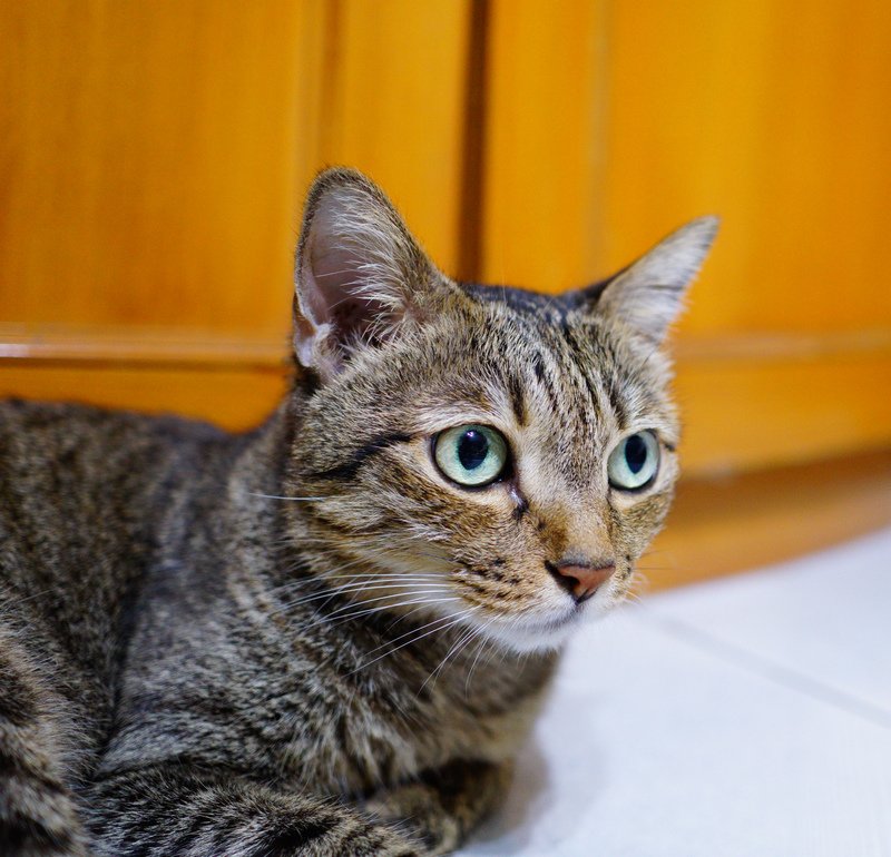 DSC05782.jpg