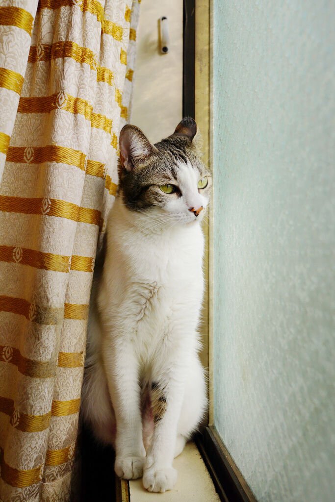 DSC05880.jpg