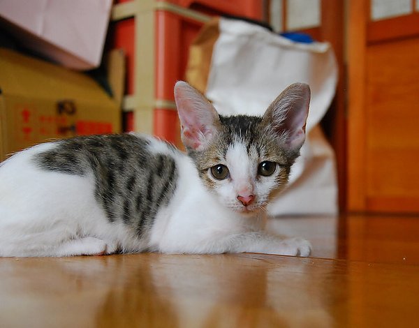 DSC_8217.jpg