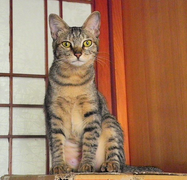 DSCN1425.JPG