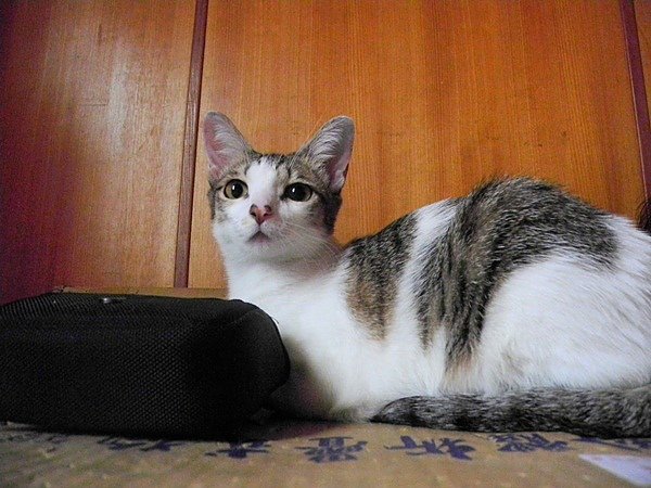 DSCN1429.JPG