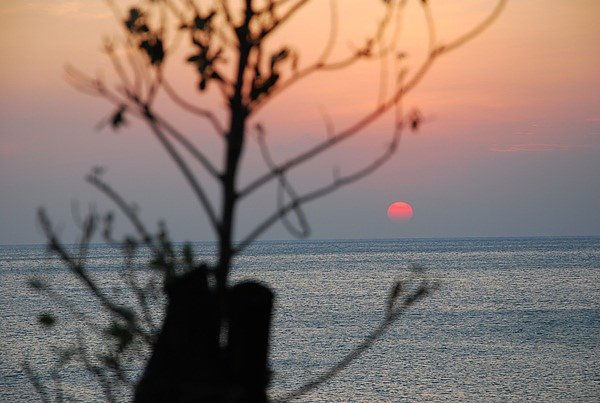DSC_9129.JPG