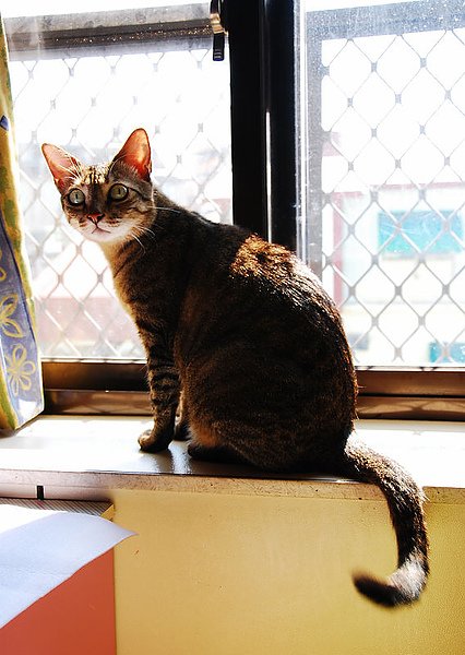 DSC_6996.jpg