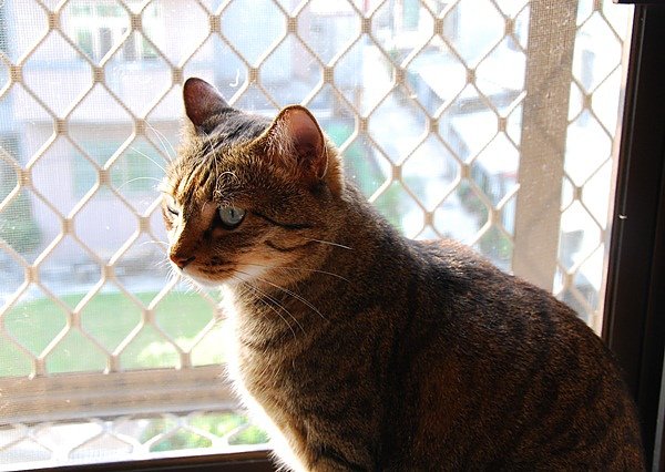 DSC_9190.JPG