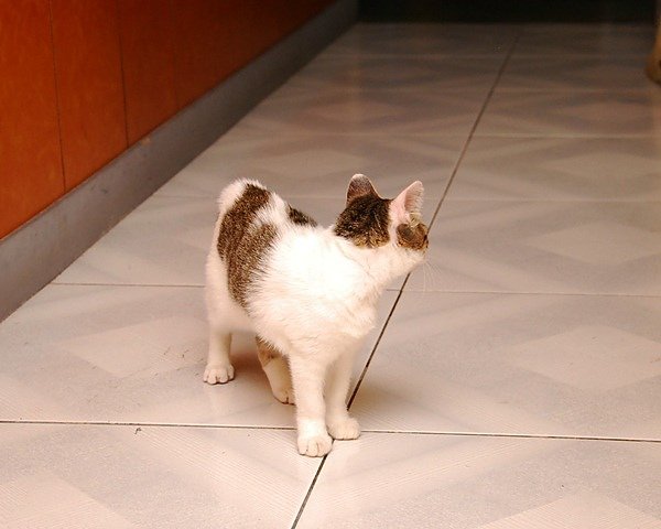DSC_8729.JPG