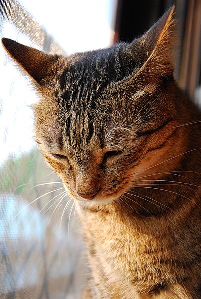 DSC_9182.JPG