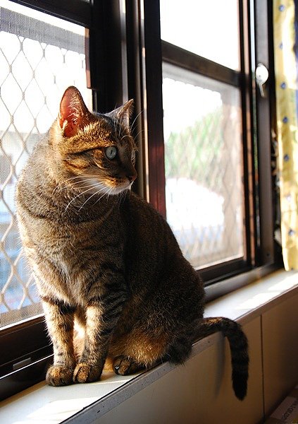 DSC_9163.JPG