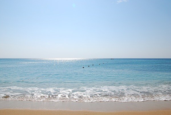 DSC_9042.JPG