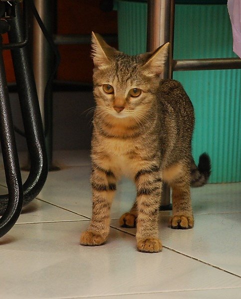 DSC_8735.JPG