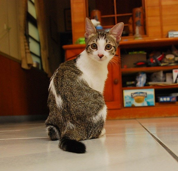 DSC_8822.JPG