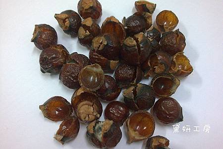 PhotoCap_019
