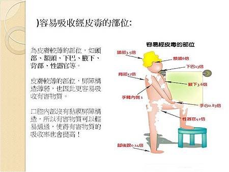 經皮毒易吸收部位