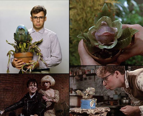little-shop-of-horrors-02.jpg