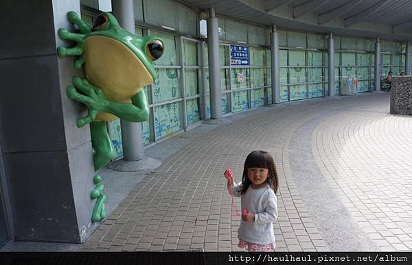 2012-03-05 第二次來動物園~青蛙