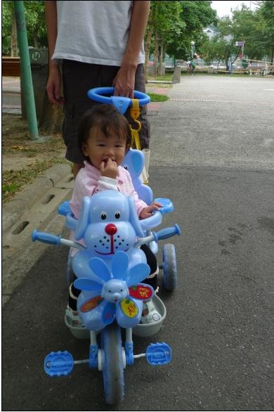 2010-10-17 小沛沛坐著車車公園行.JPG