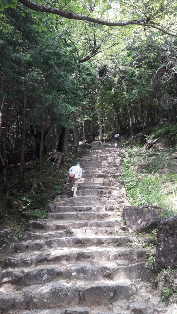 20170617_101045.jpg
