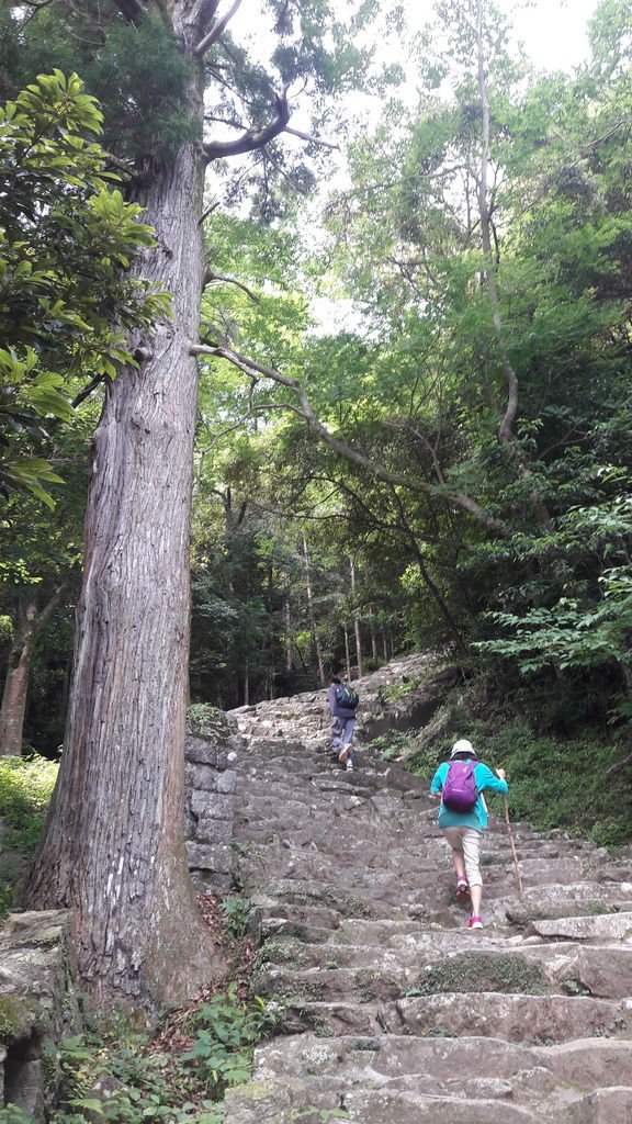 20170617_100644.jpg