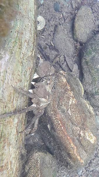 20170617_165507.jpg