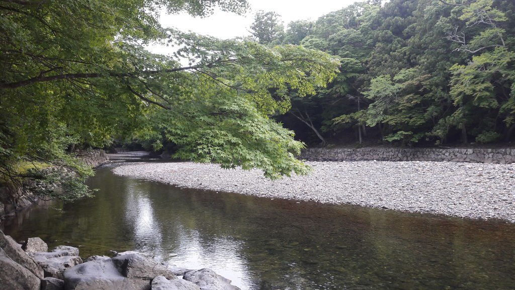 20170617_165818.jpg