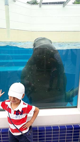 20170618_112104.jpg