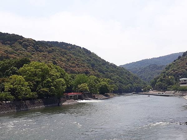 20170620_110021.jpg
