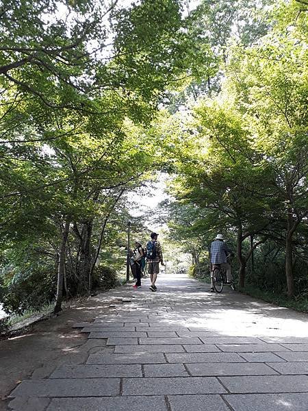 20170620_104044.jpg