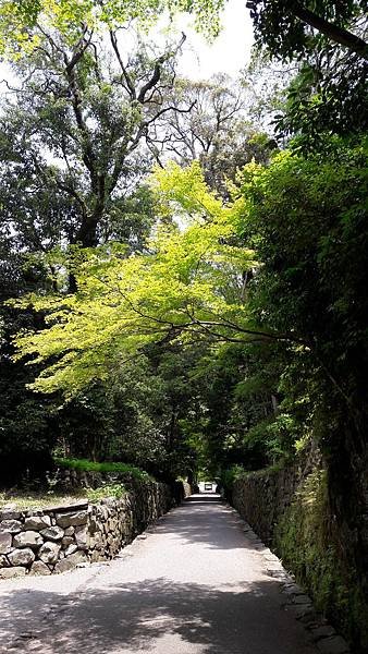 20170620_113432.jpg