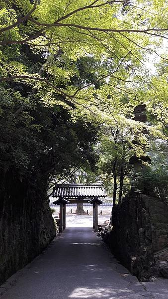 20170620_113557.jpg