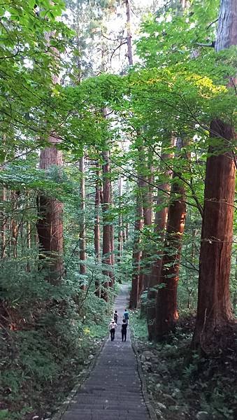 20230722_181454.jpg