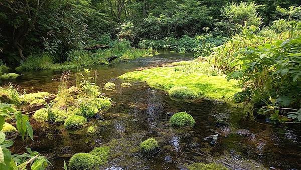 2024北東北11日遊：十和田八幡平國立公園深度之旅行程分享