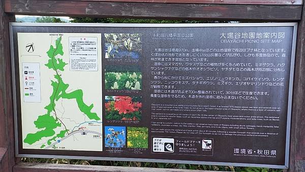 LINE_ALBUM_2024713（D4）大沼＋後生掛溫泉自然研究路＋大場谷地濕原_240801_10.jpg