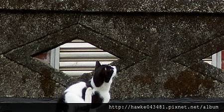 IMGP3631_調整大小.JPG