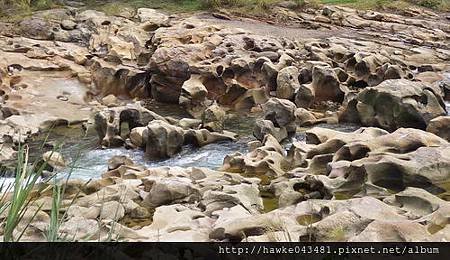 IMGP3658_調整大小.JPG