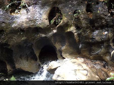 IMGP3693_調整大小.jpg