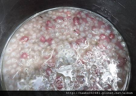 IMGP3723_調整大小.JPG