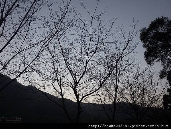IMGP6838_調整大小.JPG