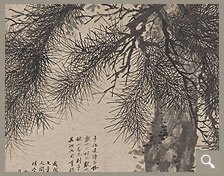 參天特秀