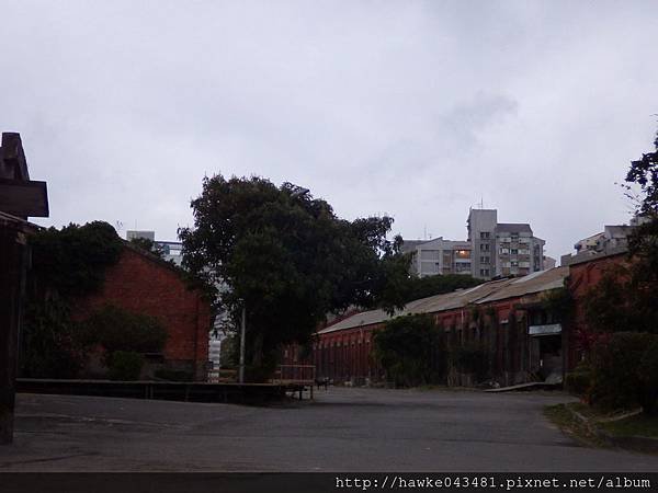 IMGP1245